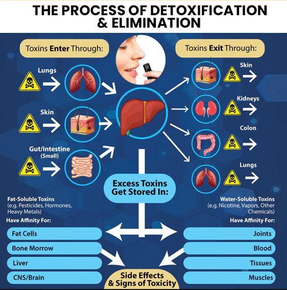 OdorFit Aromatherapy Detox Breathe Stick - thedealzninja