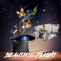 Thumbnail for Beautiful Flight - thedealzninja
