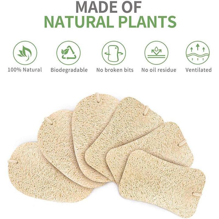Practical Natural Cleaning Sponge(5PCS) - thedealzninja