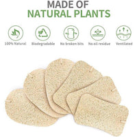 Thumbnail for Practical Natural Cleaning Sponge(5PCS) - thedealzninja