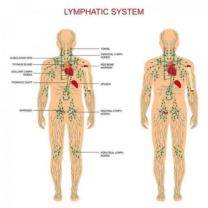 Lymphatic Drainage Ginger Oil - thedealzninja