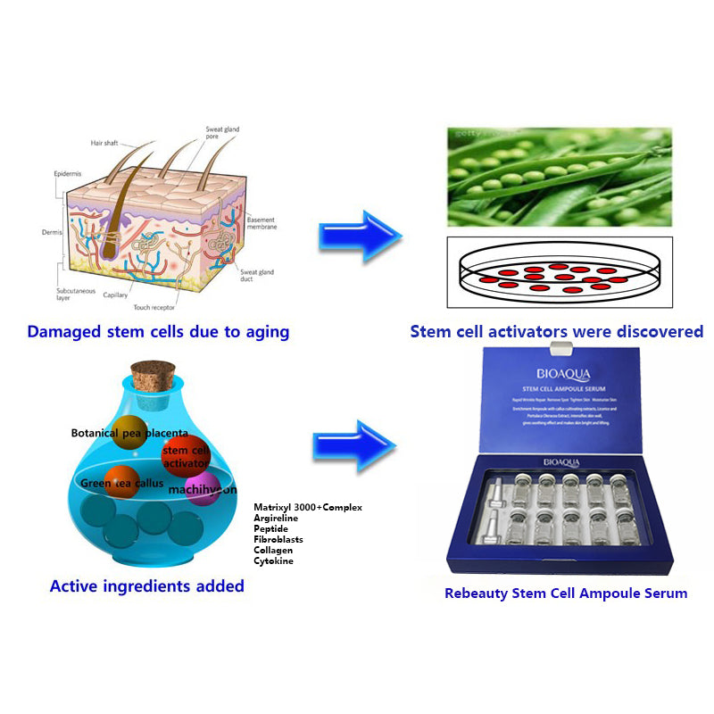 BIOAQUA Cells Rejuvenate & Lifting Ampoule Serum - thedealzninja