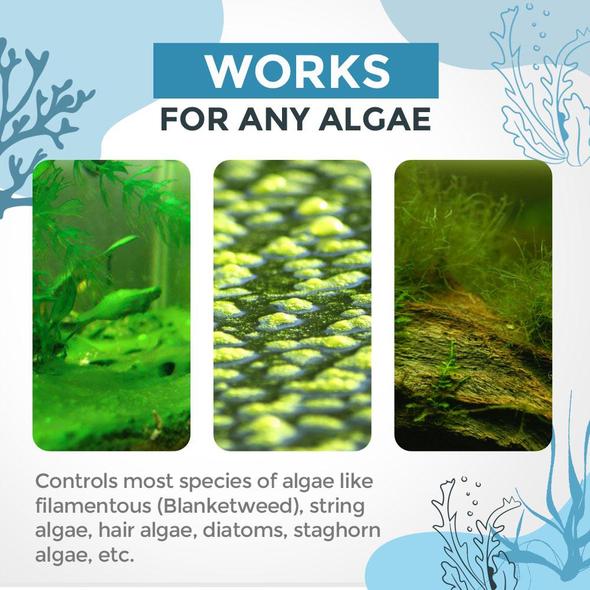 Algae Repellent Agent - thedealzninja