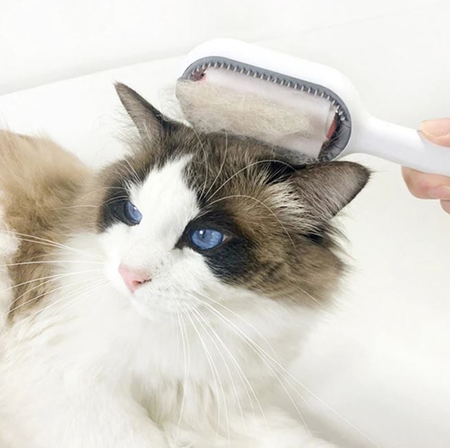 Pet Cleaning Hair Removal Comb - thedealzninja