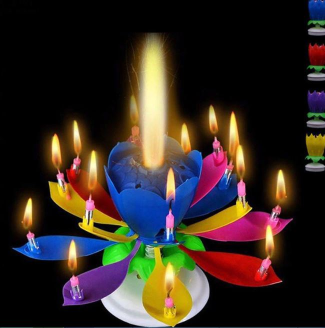 Dealzninja Magic Flower - Musical Candle - thedealzninja