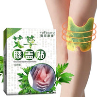 Thumbnail for Knee Pain Relief Patch (12 Pcs) - thedealzninja